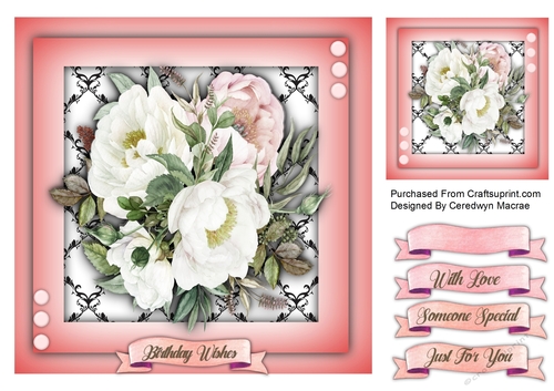 7x7 Beautiful French Roses