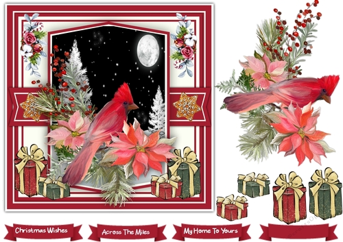 7x7 Beautiful Christmas Cardinal
