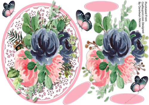 Beautiful Pink And Navy on Lace