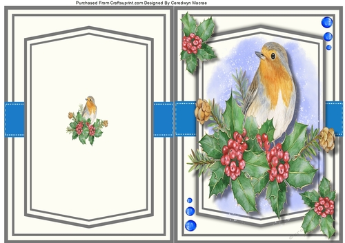 A5, Print and Fold  Christmas Robins