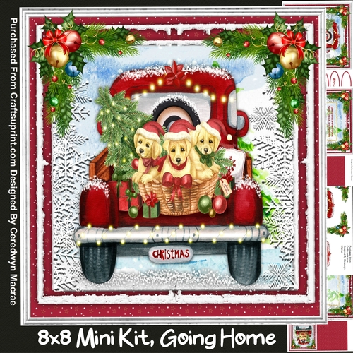 8x8 Mini Kit, Going Home