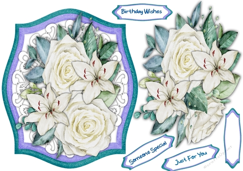 A5, Beautiful  White Roses 