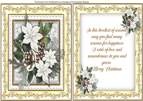 A5, Beautiful. Christmas Greetings With Verse