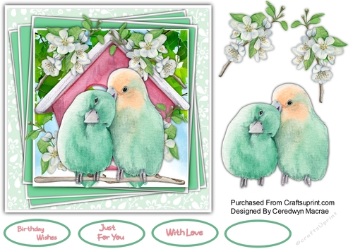 7x7 Beautiful Love Birds 2
