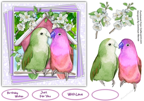 7x7 Beautiful Love Birds 3