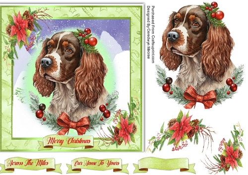 7x7 Beautiful Christmas Spaniel