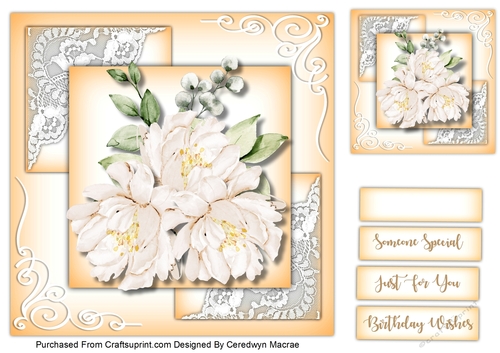 8x8 ,Beautiful Cream Delight