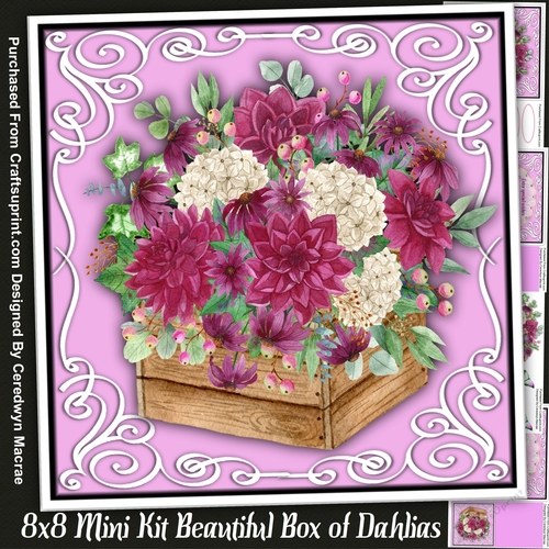 8x8 Mini Kit , Beautiful Box of Dahlias