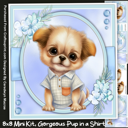 8x8 Mini Kit, Gorgeous Pup in a Shirt