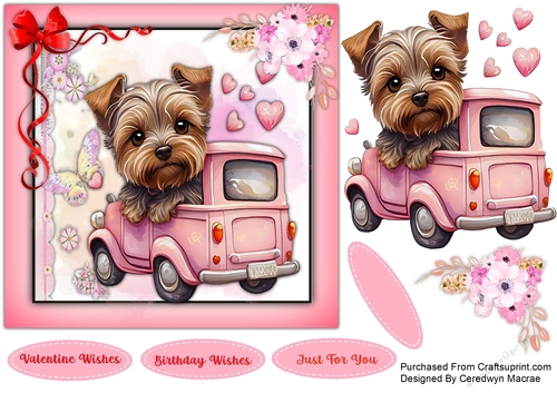 7x7 Gorgeous Yorkie in a Pick-Up