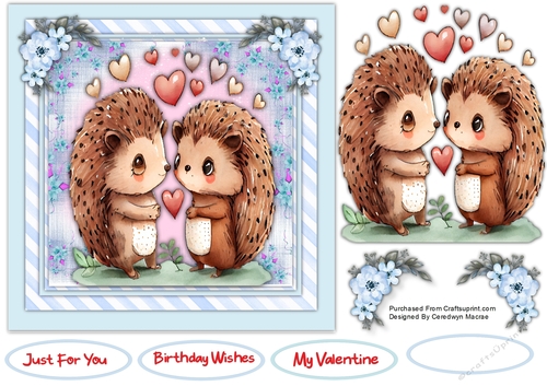 7x7 Hedgehogs in Love