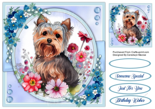 8x8 Yorkie in the Flowers