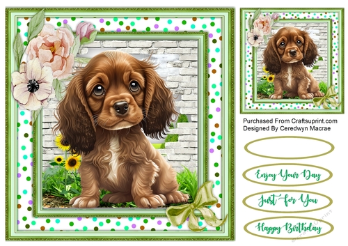 8x8 Beautiful English Cocker Spaniel
