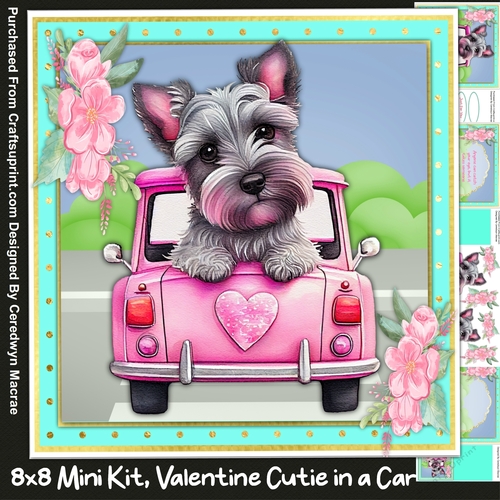 8x8 Valentine Cutie in a Car