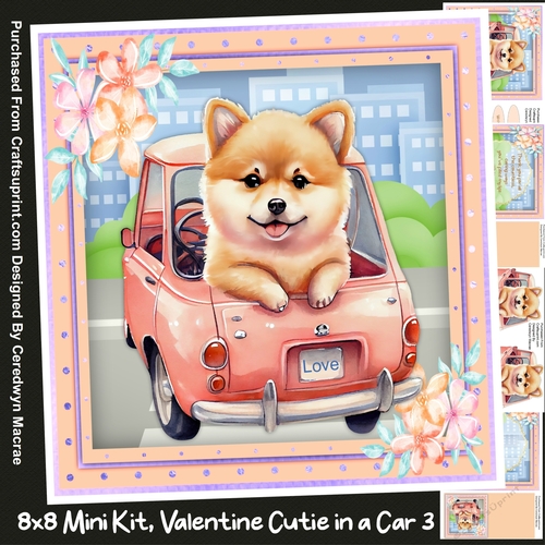 8x8 Mini Kit , Valentine Cutie in a Car 3