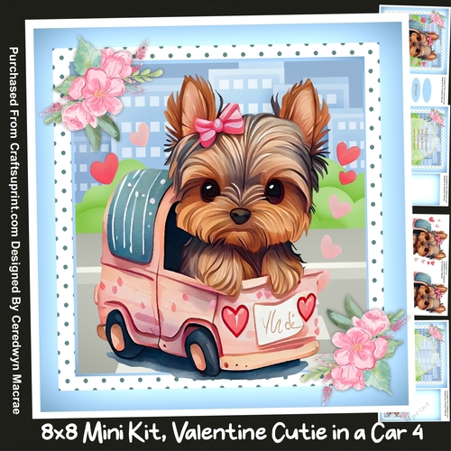 8x8 Mini Kit , Valentine Cutie in a Car  4