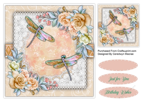 8x8 Beautiful Dragonfly Flight 1