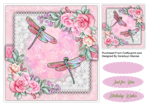8x8 Beautiful Dragonfly Flight 2