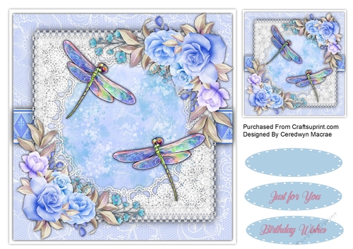 8x8 Beautiful Dragonfly Flight 3