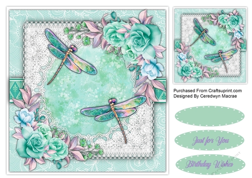 8x8 Beautiful Dragonfly Flight 4