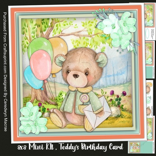 8x8 Mini Kit, Teddys Birthday Card