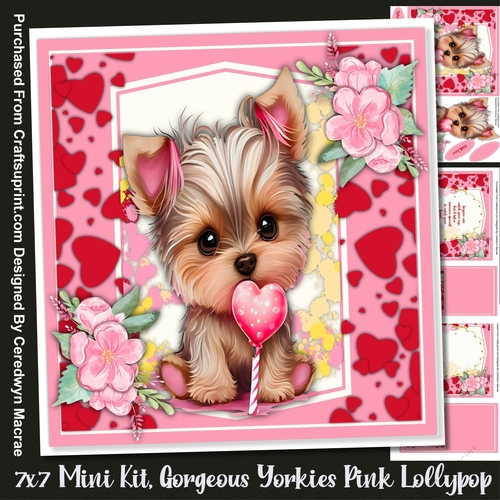 7x7 Mini Kit, Yorkies Pink Lollypop