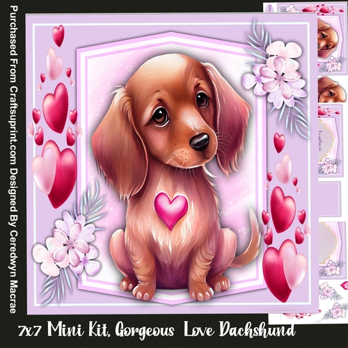 7x7 Mini Kit, Gorgeous Love Dachshund