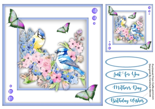 8x8 Quick Cards Beautiful Jays 1