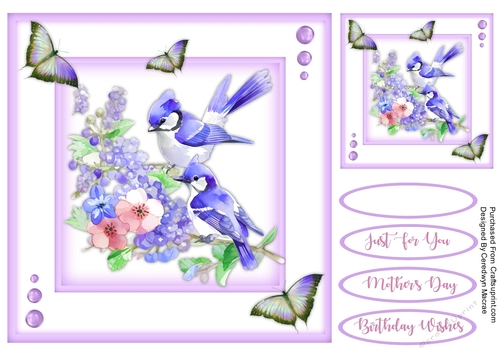 8x8 Quick Cards Beautiful Jays 5