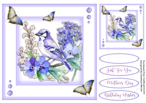 8x8 Quick Cards Beautiful Jays 6