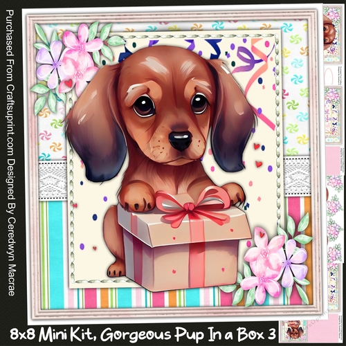 8x8 Mini Kit, Gorgeous Pup In a Box 3