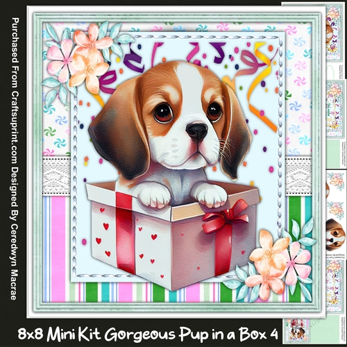 8x8 Mini Kit, Gorgeous Pup In a Box 4