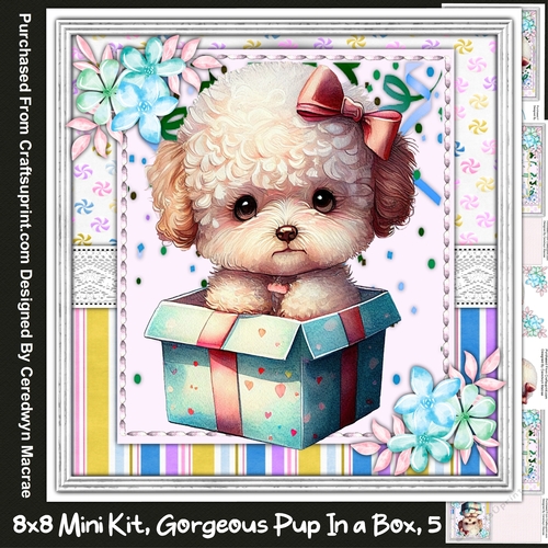 8x8 Mini Kit , Gorgeous Pup in a Box 5