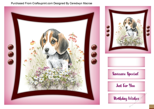 7x7 Quick Card , Gorgeous Baby Beagle