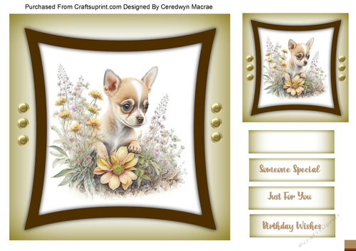 7x7 Quick Card , Gorgeous Baby Chihuahua