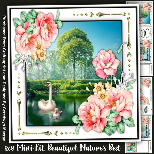 8x8 Mini Kit, Beautiful Natures Best