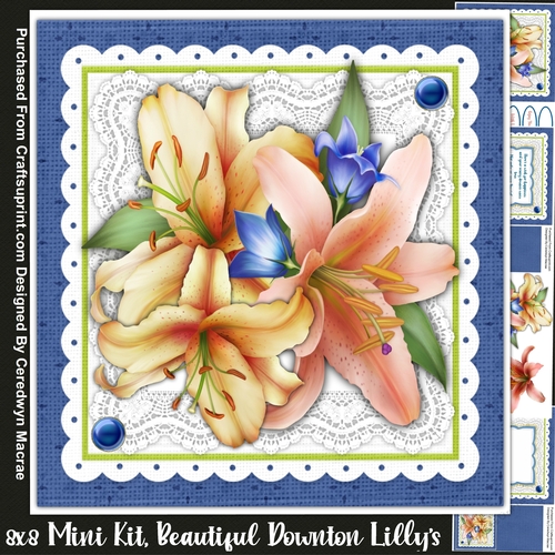 8x8 Mini Kit, Beautiful Downton Lillys