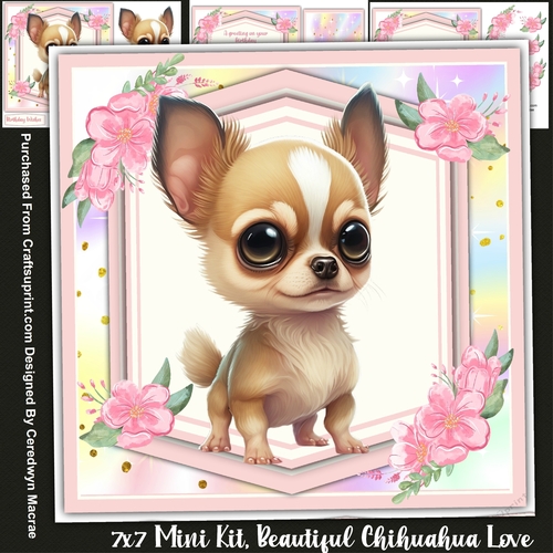 7x7 Mini Kit, Beautiful Chihuahua  Love 