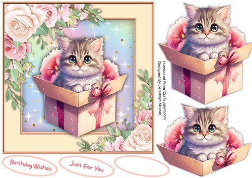 7x7 Beautiful Kitty in a Gift Box