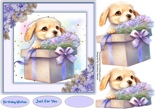 7x7 Beautiful Pup with a Gift Box
