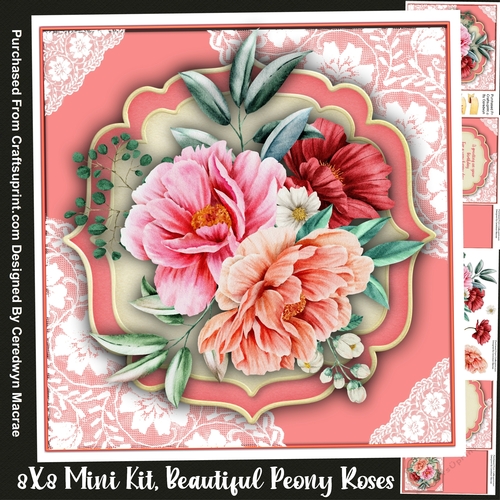 8x8   Mini  Kit Beautiful Peony Roses 