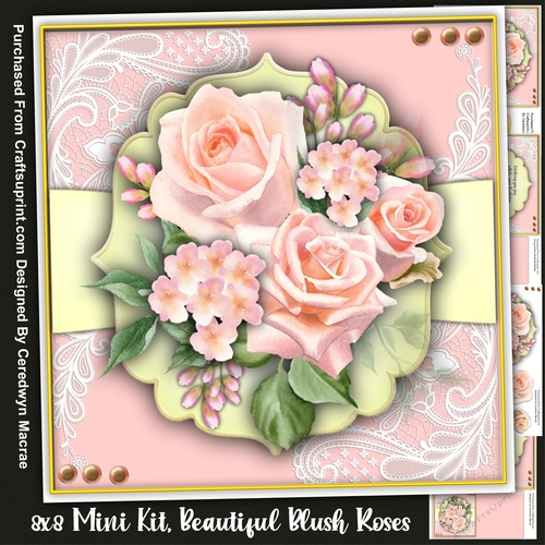 8x8 Mini Kit, Beautiful Blush Roses