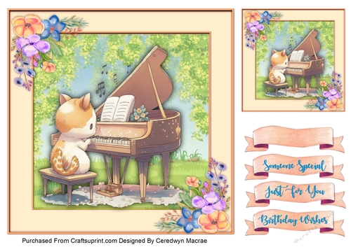 8x8 , Kittys Concert Party