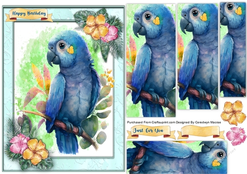 A5, Beautiful Blue Parrot ,Pyramid 