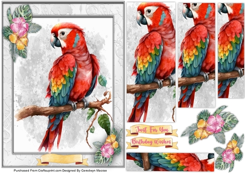A5, Beautiful Red Parrot ,Pyramid 
