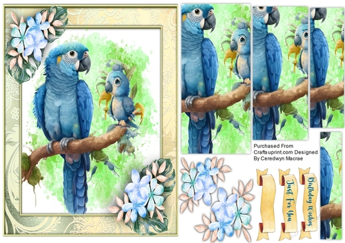 A5, Beautiful Blue Parrot with Young  ,Pyramid 