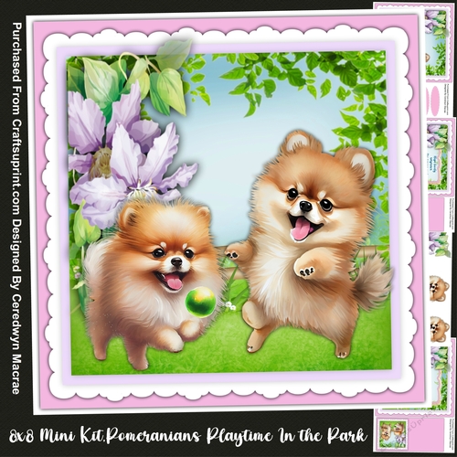 8x8 Mini Kit, Pomeranians Playtime in the Park