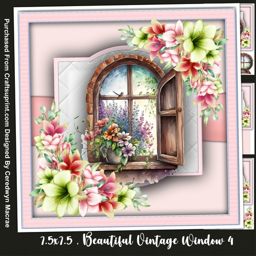 7.5x7.5 Mini Kit , Beautiful Vintage Window 4