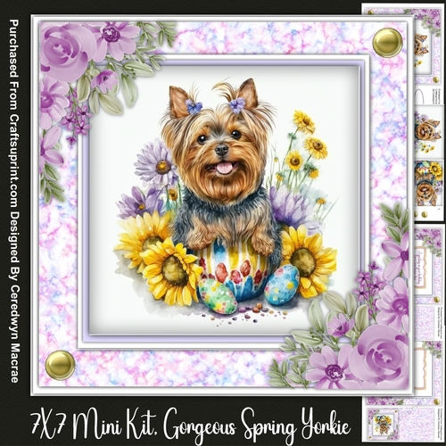 7x7 Mini Kit , Gorgeous Spring Yorkie, Pyramid