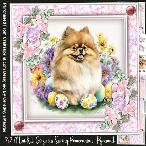 7x7 Mini kit Gorgeous Spring Pomeranian , Pyramid